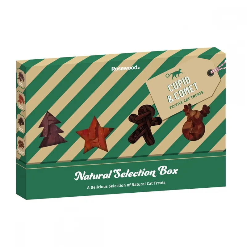 Rosewood Xmas Natural Treat Selection Godisbox för Katt 160 g Fynd