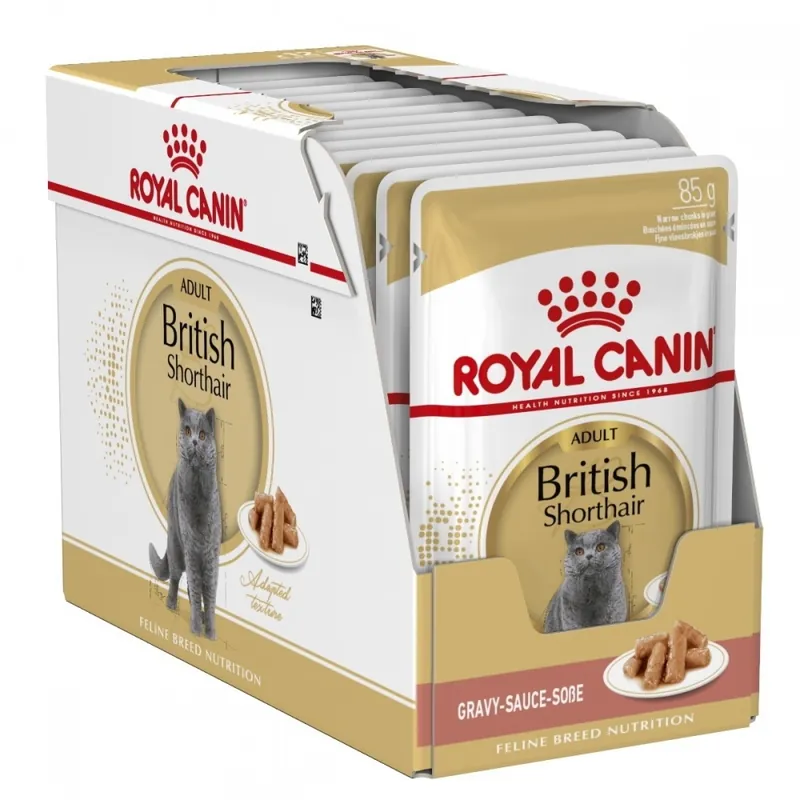 Premium Royal Canin British Shorthair Wet (12x85g)