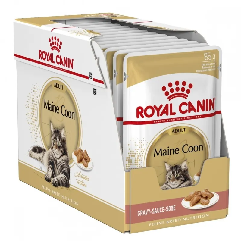 Expressleverans Royal Canin Maine Coon Wet (12x85g)