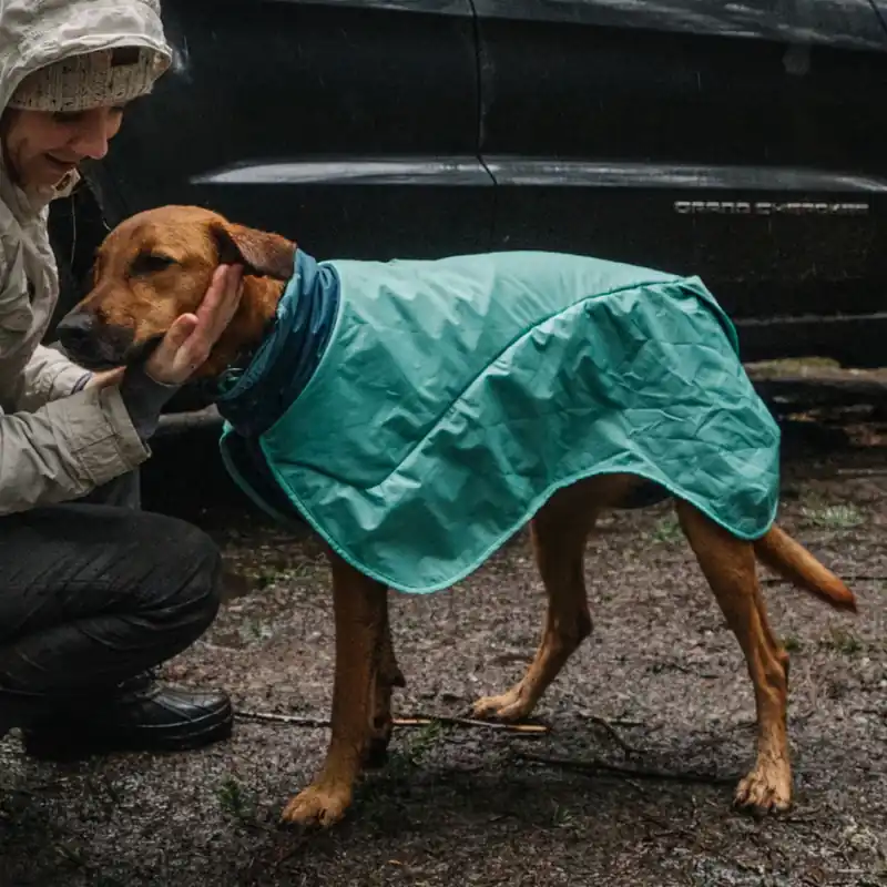 Begränsad tid Ruffwear Dirtbag Hundtäcke Turkos & Blå (XXS)