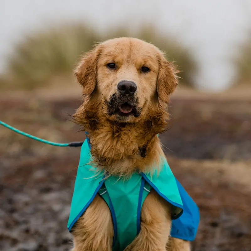 Ruffwear Sun Shower Regnjacka Ljusblå (XXS) Rabatter