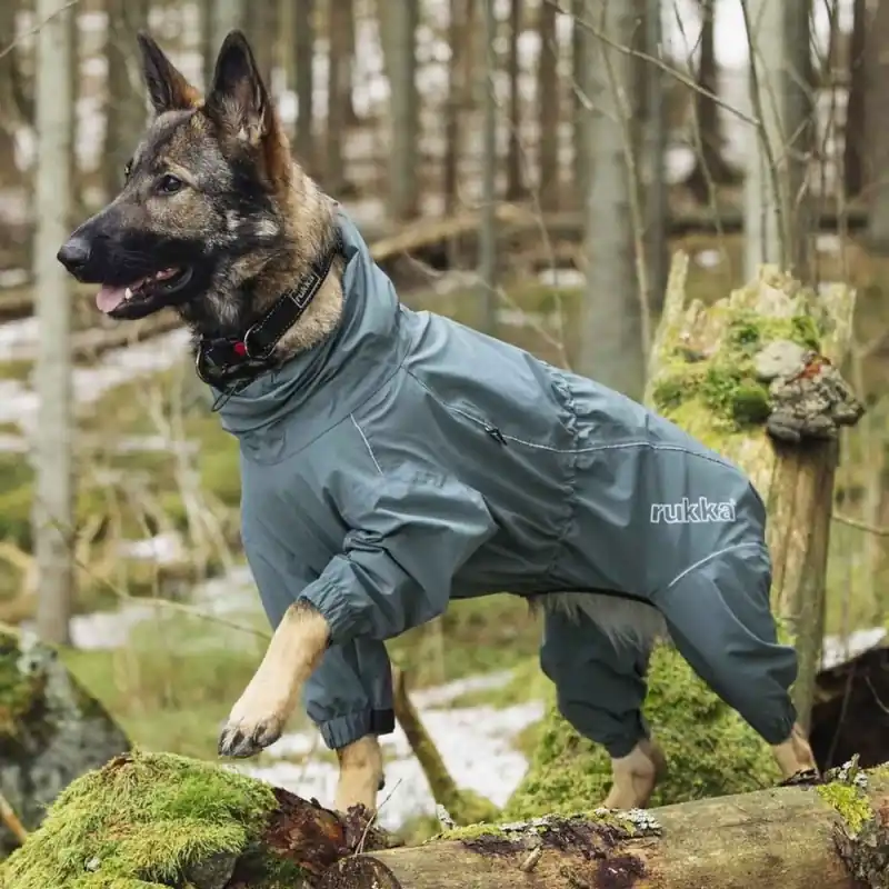 Billig Rukka Protect Hundoverall Grå (25 cm)