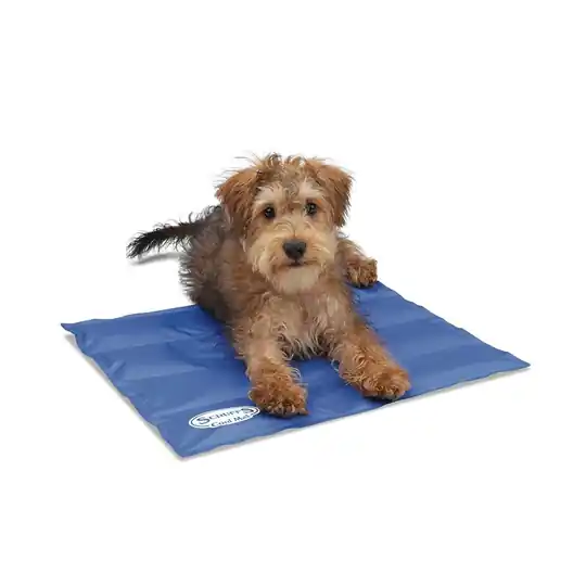 Scruffs Kylmatta (S) Premium