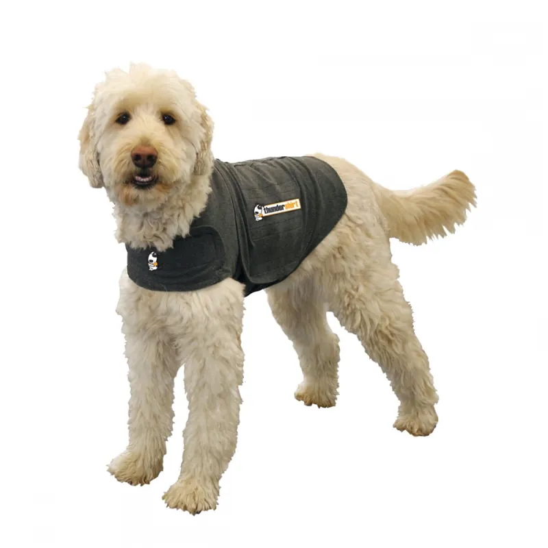 Thundershirt till Hund (XS) Populärt val