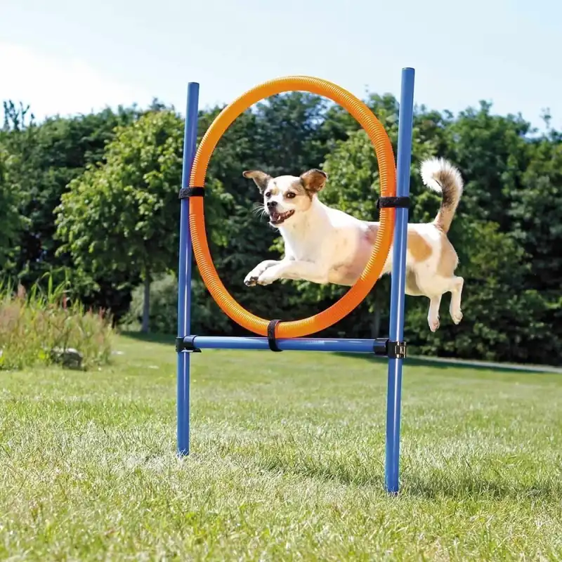 Kampanjpris Trixie Agility Hoppring