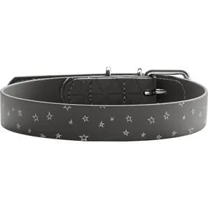 Begränsad tid Hundhalsband Hunter Reflected Star 45