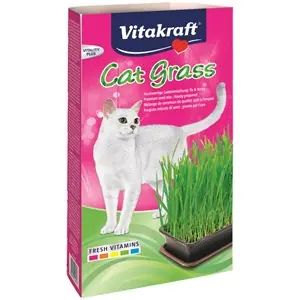 Nyhet Kattgräs Vitakraft