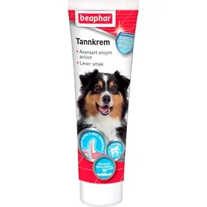 Utförsäljning Tandkräm till hund Beaphar Leversmak