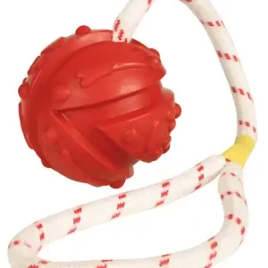 Endast denna vecka Boll på rep leksak för hund - Boll på rep