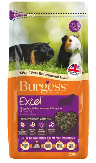 Excel Oregano & Svarta Vinbär Marsvinsfoder - 1,5 kg Begränsat erbjudande