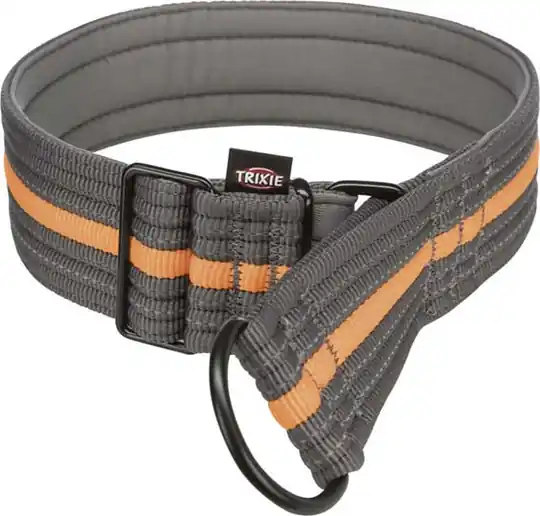Fusion Hundhalsband Halvstryp - Papaya/Grafit / S-M Expressleverans