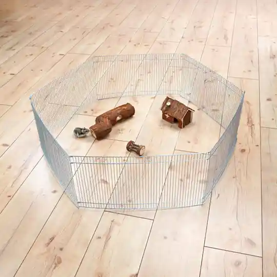 Snabb frakt Hage för hamster - Hage