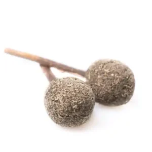 Kitty Play Catnip Lollipop - Catnip Lollipop Rabatter