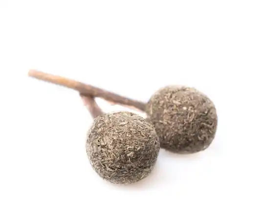 Kitty Play Catnip Lollipop - Catnip Lollipop Rabatter