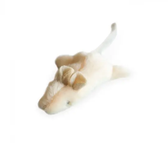 Kitty Play Skinny Kattleksaker - Beige mus Sänkt pris