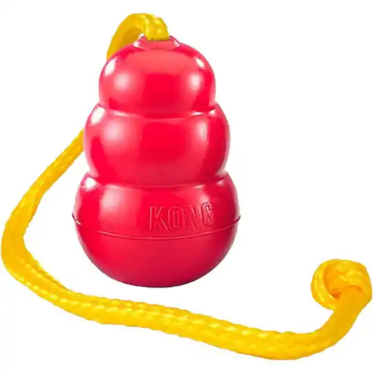 KONG Classic Med Rep - Medium Köp nu