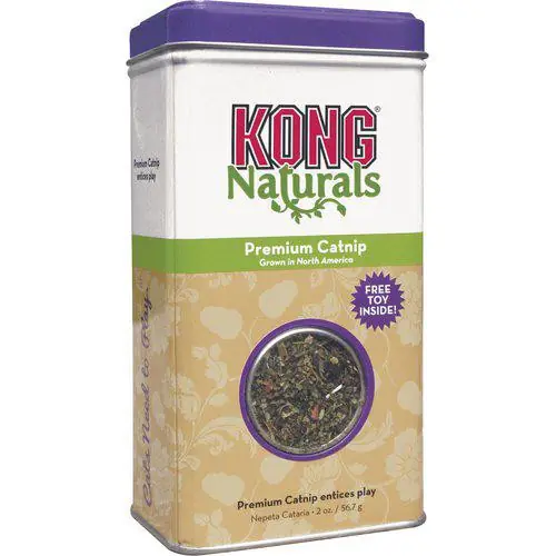 Sista chansen KONG Natural Catnip - 56 g