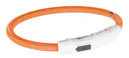 Lysande halsband - XS-Small / Orange Populär