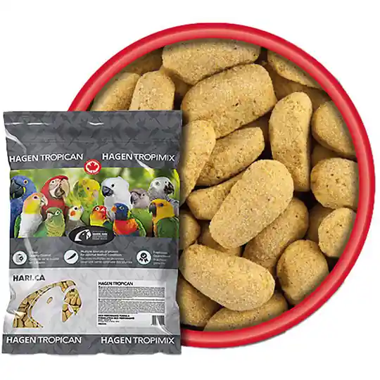 Parrot Biscuits till Unga & Växande Papegojor - 9 kg Begränsat erbjudande