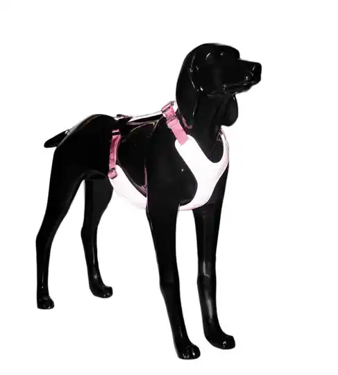 Reflekterande Hundsele - Rosa XS I lager
