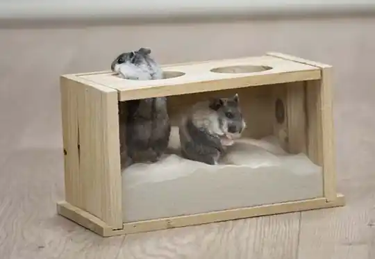Reapris Sandbad för Hamster & Mus - Sandbad
