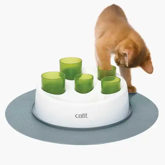 Senses 2.0 Digger - Cat Senses 2.0 Digger Kundfavorit