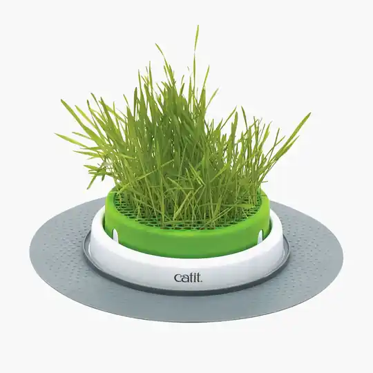 Billig Senses 2.0 Grass Planter