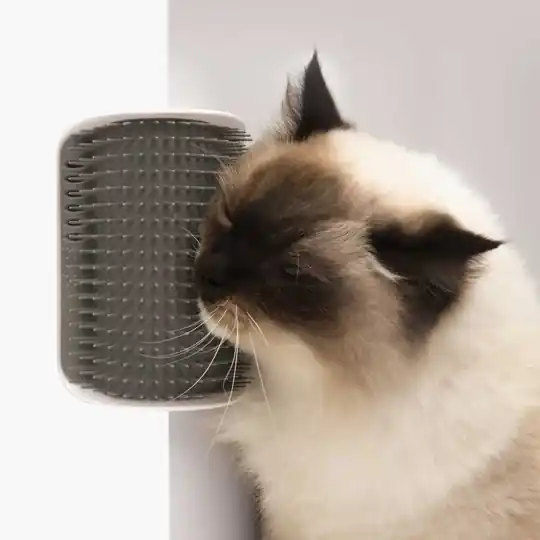 Senses 2.0 Self Groomer Sänkt pris