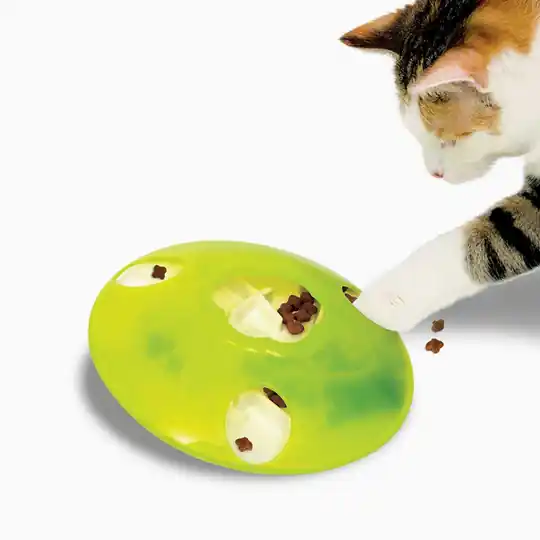 Treat Spinner Trygg betalning
