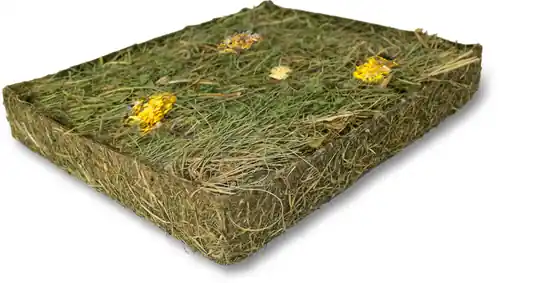Ängbit för Kanin och Gnagare - Ängbit med Maskros Beställ nu
