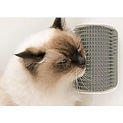 Begränsad tid Catit Senses 2.0 Self Groomer