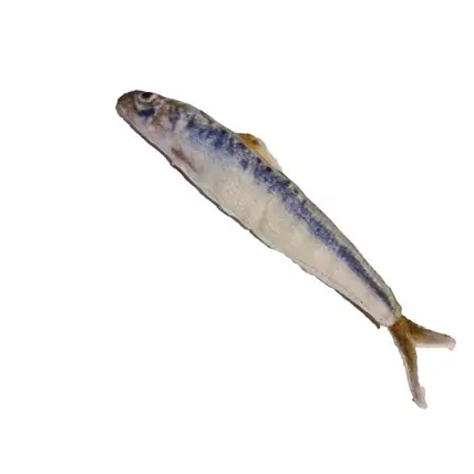 Kattleksak Makrill 13 cm Reapris