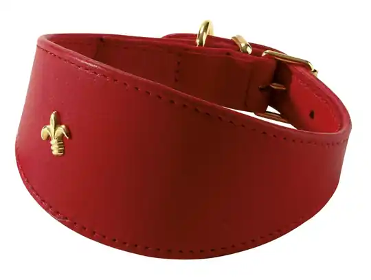 Bobby Levrier Läder Hundhalsband - Rubinröd (30 cm) Utförsäljning