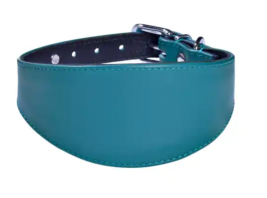 Bobby Levrier Nicky Läderhalsband - Påfågelblå (30 cm) prisnedsättning