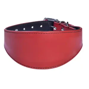 Sänkt pris Bobby Levrier Nicky Läderhalsband - Röd (30 cm)