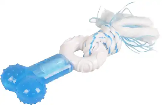 Dentatoy tuggleksak med rep Endast idag