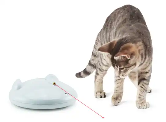 FroliCat Zip Automatic Laser Fynd