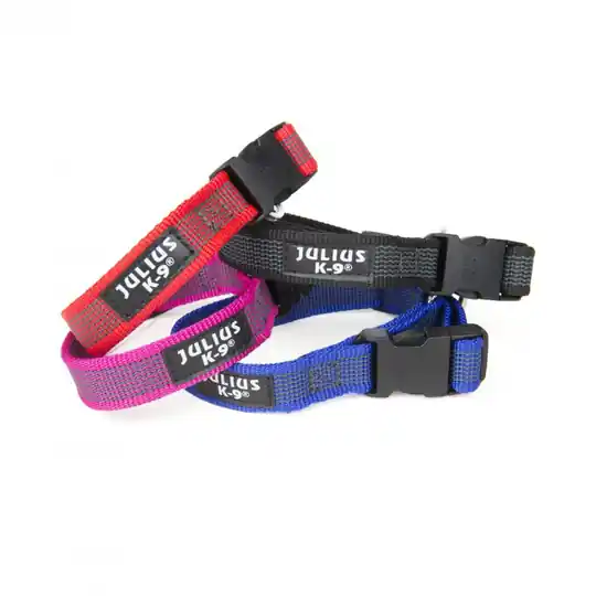 Julius-K9 Color & Gray® Hundhalsband 20 mm (Röd) Begränsat erbjudande