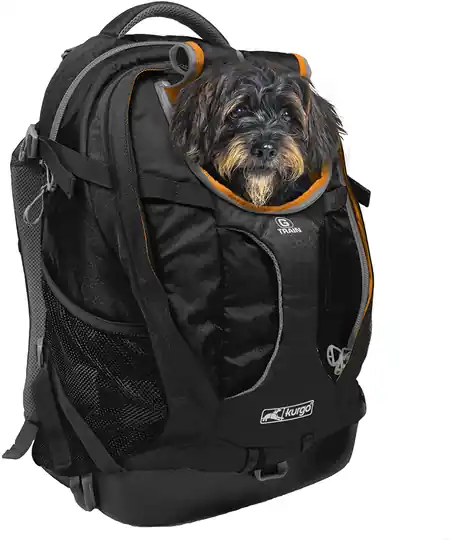 Rea Kurgo bärväska/ryggsäck till Hund - G-Train K9 Pack - Svart