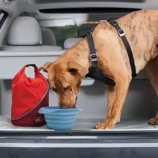 Erbjudandepris Kurgo Fodersäck för hund - Kibble Carrier Chili Red