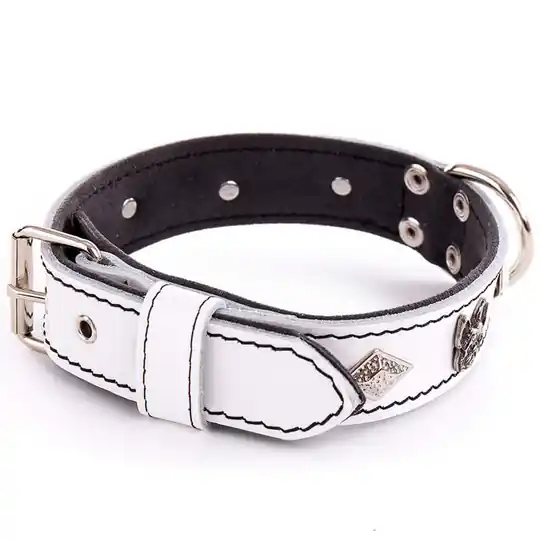 Martin Sellier Bulldog Diamant Läderhalsband med Nitar - Vit (50 cm) Bästa pris