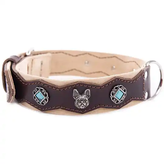 Martin Sellier Bulldog Turquoise Läderhalsband med Nitar - Brun (60 cm) Handla nu