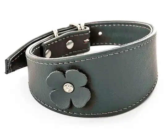 Handla nu Martin Sellier Fyrklöver Whippet Läderhalsband - Grå (34 cm)