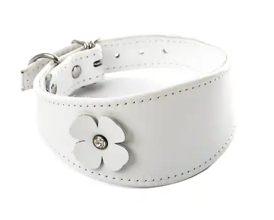 Martin Sellier Fyrklöver Whippet Läderhalsband - Vit (44 cm) Bästa pris
