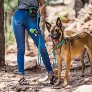 OllyDog - Flagstaff Adjustable Spring Leash hundkoppel- Raven Bark Billig