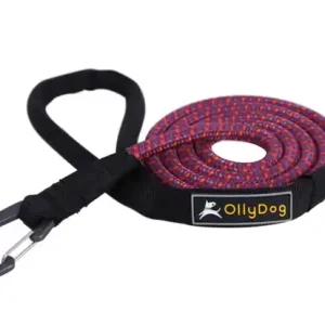 OllyDog - Mountain Leash Hundkoppel Lila Beställ idag