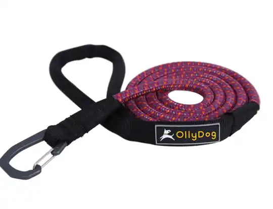 OllyDog - Mountain Leash Hundkoppel Lila Beställ idag