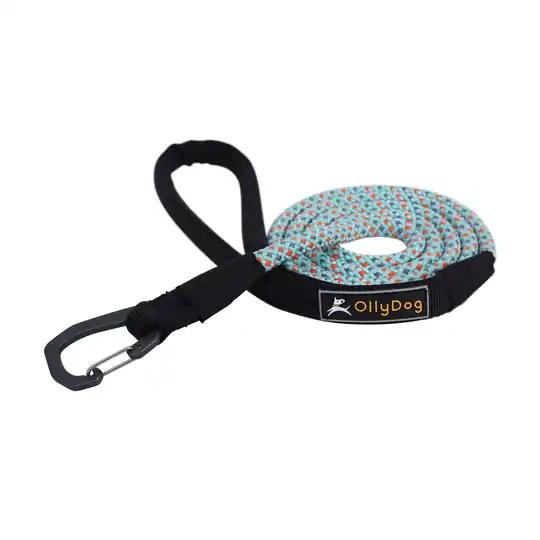 OllyDog - Mountain Leash Hundkoppel Turkos Rabatt