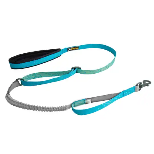 OllyDog Flagstaff Adjustable Spring Leash Koppel - Sky Bark Populärt val