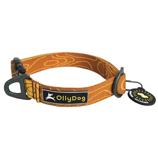 OllyDog Flagstaff Hundhalsband- Blaze Bark (S) Köp nu